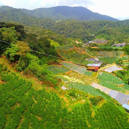 3 Rooms Apt @ Crown Imperial Court Cameron Highlands Buitenkant foto